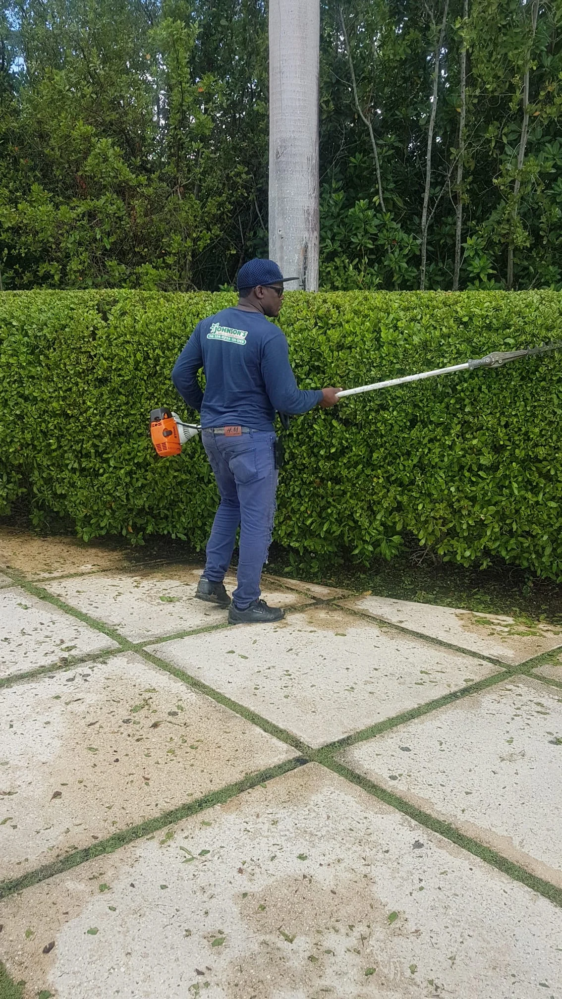 Team member trimming a hedge in Grand Cayman